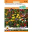 Mössingen flower mix 2 m2 Seed Pfann