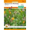 Field flower mix 2-3 m2 Seed Pfann