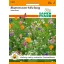 Field flower mix 2-3 m2 Seed Pfann