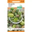 Ornamental cucumber mixture (Ziergurken) 30 seeds seeds Pfann