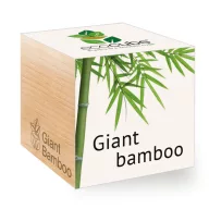 ecocube-Óriás bambusz