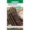 Black salsify 100 seeds seeds Pfann