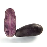 Burgonya vetőgumó Lila "Fleur Bleue" 0,5 kg