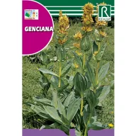 Tárnics Rocalba 0,2 g