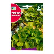 Fatty porcini Rocalba 4 g