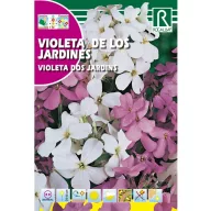 Hölgyestike Rocalba 6 g