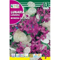 Júdáspénz Rocalba 6 g