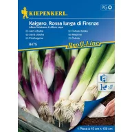   Újhagyma mix vetőmagszőnyeg Kaigaro & Rossa Lunga di Firenze Kiepenkerl 15 cm x 150 cm