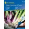 Újhagyma mix vetőmagszőnyeg Kaigaro & Rossa Lunga di Firenze Kiepenkerl 15 cm x 150 cm