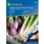 Újhagyma mix vetőmagszőnyeg Kaigaro & Rossa Lunga di Firenze Kiepenkerl 15 cm x 150 cm