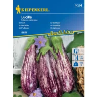 Padlizsán Lucilla Kiepenkerl 8 db