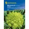 Pagoda (Romanesco) cauliflower Veronica F1 Kiepenkerl 30 pcs