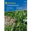 Turtle green food seed mix Kiepenkerl 3-5 m2