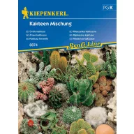 Kaktuszok - kedvelt fajták keveréke Kiepenkerl 20 db