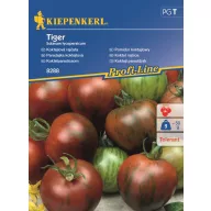 Koktélparadicsom Tiger Kiepenkerl 5 db