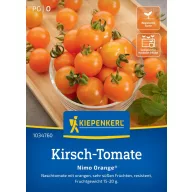 Cseresznyeparadicsom Nimo Orange Kiepenkerl 5 db