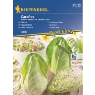Fejeskáposzta Caraflex F1 Kiepenkerl 20 db