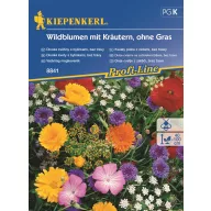 Vadvirág magkeverék Kiepenkerl 2-3 m2-re