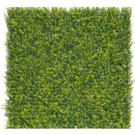 Zöldfal Buxus levelekkel Vertical Buxus 1mx1m