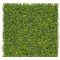 Zöldfal Buxus levelekkel Vertical Buxus 1mx1m