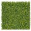 Zöldfal Buxus levelekkel Vertical Buxus 1mx1m