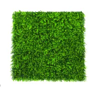 Zöldfal Buxus levelekkel Vertical Buxus 1mx1m