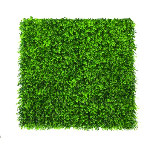 Zöldfal Buxus levelekkel Vertical Buxus 1mx1m