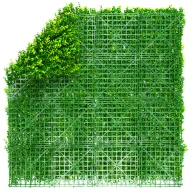 Zöldfal Buxus levelekkel Vertical Buxus 1mx1m