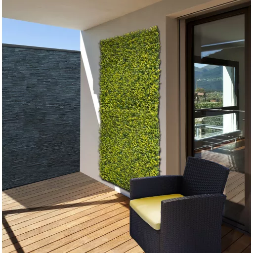 Zöldfal Buxus levelekkel Vertical Buxus 1mx1m