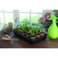 Mini üvegház palántáknak Rapid Grow 38 x 24 x 19 cm
