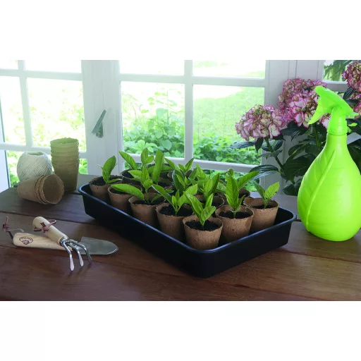 Mini üvegház palántáknak Rapid Grow 38 x 24 x 19 cm