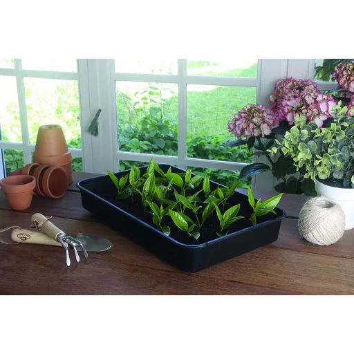 Mini üvegház palántáknak Rapid Grow 38 x 24 x 19 cm