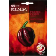 Chili Peppers Chocolate Habanero Rocalba 25 grains