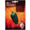 Chilli pepper Jalapeno M Rocalba 0,5 g