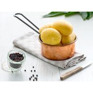 Burgonya vetőgumó Lower Carb "Coronada"  50 db