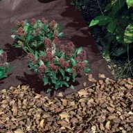 Groundcover Antiherbas Geotex 80 g/m2 brown 1,6x250m