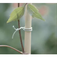 R-FIX kötöző futó növények rögzítéséhez 50m