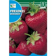 Eper Morangos 0,2g Rocalba