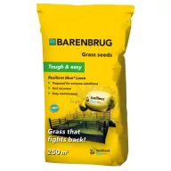 Fűmag Barenbrug Resilient Blue Lawn 5 kg