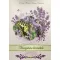 Magical lavender-Henter Andrea Elisabeth