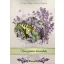 Magical lavender-Henter Andrea Elisabeth