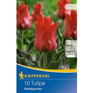 Virághagyma Tulipán Rotkappchen 10 db Kiepenkerl