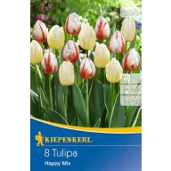 Virághagyma Tulipán Happy mix 8 db Kiepenkerl