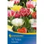 Bulb Tulip with full bloom Murillo Mix 10 pcs Kiepenkerl