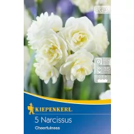 Virághagyma Nárcisz Cheerfulness 5 db Kiepenkerl