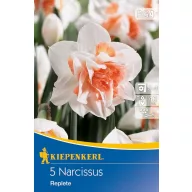 Virághagyma Nárcisz Replete 5 db Kiepenkerl