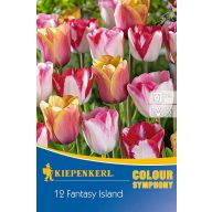   Virághagyma Tulipán színkeverék Fantasy Island 12 db Kiepenkerl