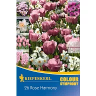   Virághagyma Colour Symphony Mega Pack Rose Harmony  26 db Kiepenkerl