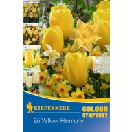   Virághagyma Colour Symphony Mega Pack Yellow Harmony 26 db Kiepenkerl