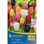 Virághagyma Tulipán Mega Pack Cottage Mix 15 db Kiepenkerl